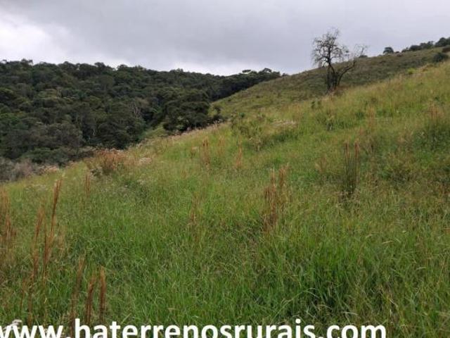 Sítio 41 Hectares