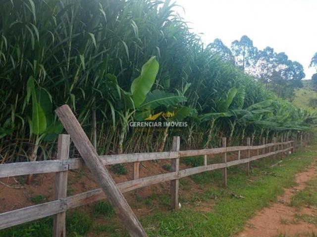 Sítio 5 hectares com terras de cultura a venda em Itatiaiuçu MG