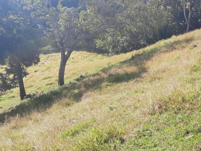 Sítio para venda em Caldas