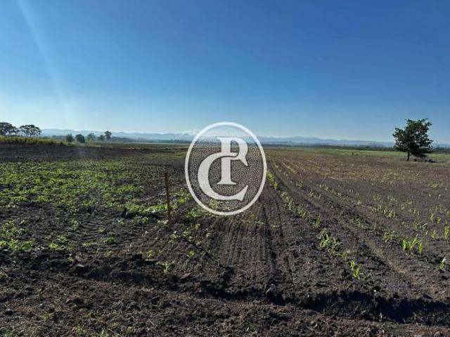 Sítio 7 Alqueires de Potencial e conforto em Caçapava/SP