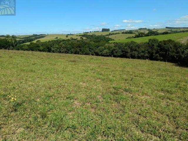 Sitio, 7,2 Alqueires Ótima Localização E Produzindo, Sarapuí, SP