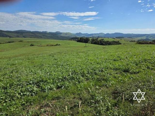Fazenda