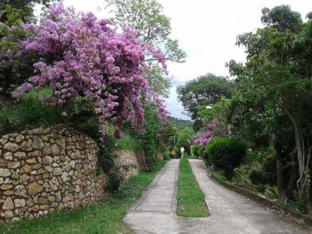 Sítio