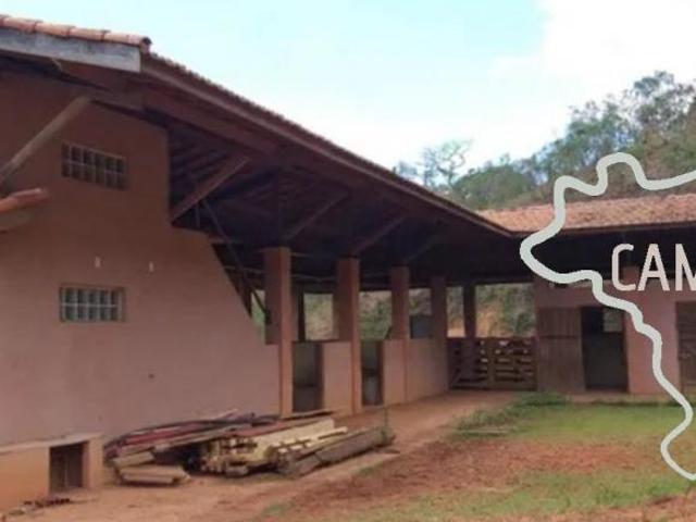 SÍTIO 9 HECTARES EM SANTO ANTONIO DO PINHAL !