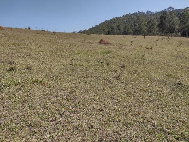 Sítio 9.680 m² com Mina d\&apos Água e Riacho em Benfica, São Luiz do Paraitinga/SP