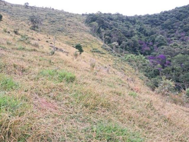 Sitio 08 Hectares