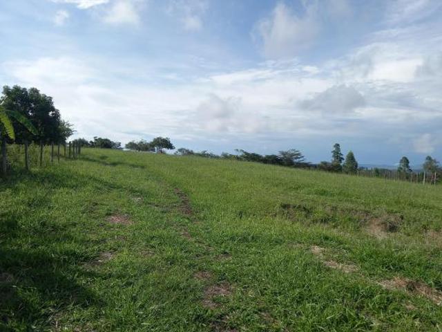 Sitio 10 alqueires