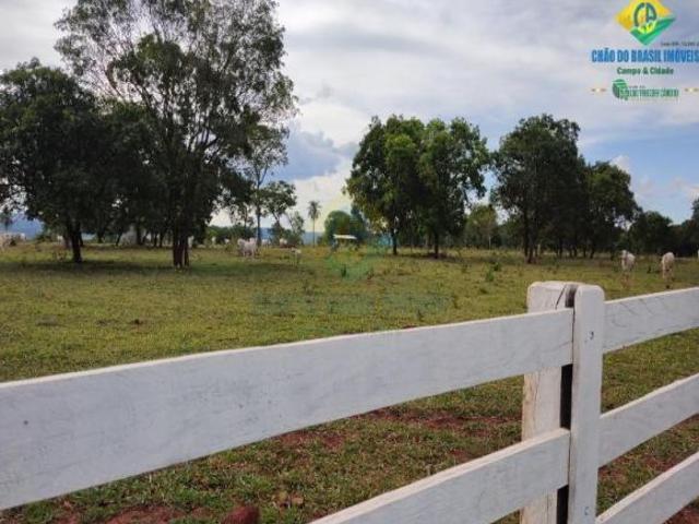 Sítio 10 ha ótimo solo, no Taboco Corguinho, MS, Brasil