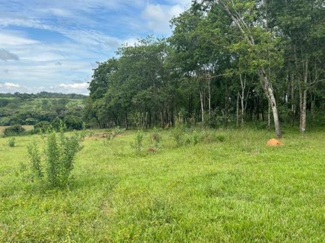 Sitio 110.000 m2 em Caetanópolis/MG