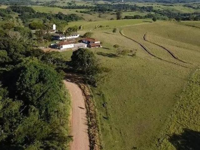 Sítio 11,3 Alqueires, Formada em Pastagem de braquiária para gado Boa de Água, contendo 3 Açudes sen