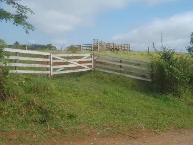Sitio 12 Alqueires FORMADA NO PASTO BOA TOPOGRAFIA TERRA DE CULTURA RIBEIRÃO AO FUNDO NÃO TEM BENF