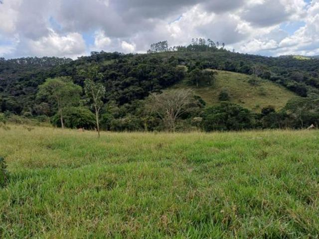 SÍTIO 12 HECTARES C/ ÓTIMA NASCENTE PRÓPRIA À VENDA EM PIEDADE DOS GERAIS/MG