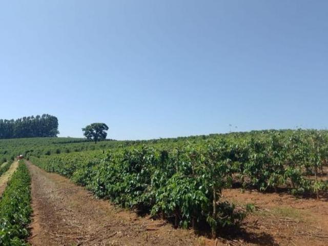 Sítio _ 17.5 alqueires _ 80 mil pés de cafés_Sul de Minas_Portera Fechada