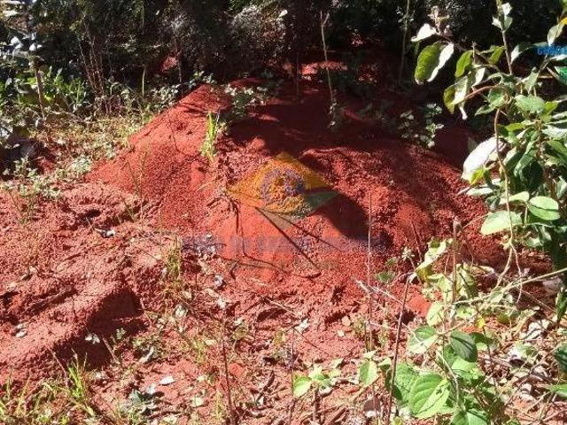 Sítio 14,5 ha e analisa negócios Terenos, MS, Brasil