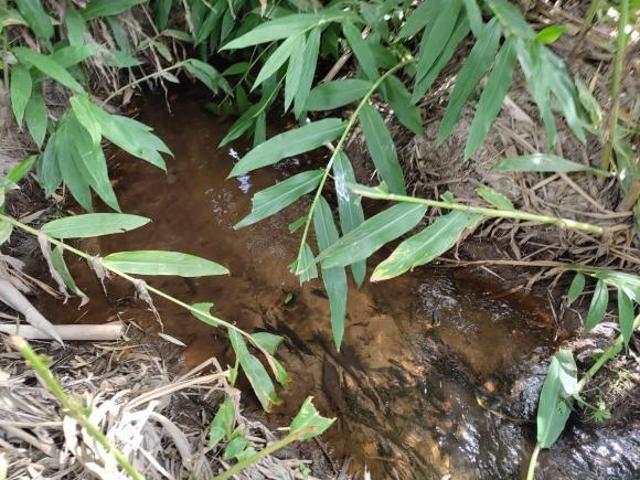 Sítio 15.000 m² c/ topografia plana e muita água em Piracema/MG