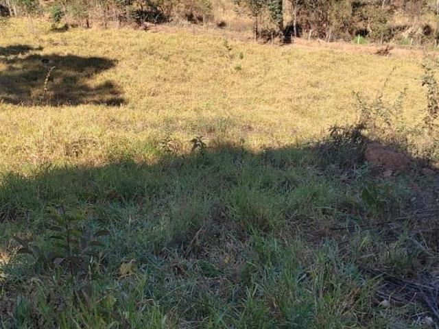 Sítio 15.000m² c/ água por gravidade à venda em Piracema/MG