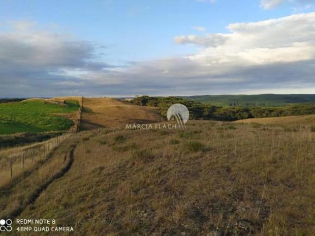 SITIO 18 HECTARES