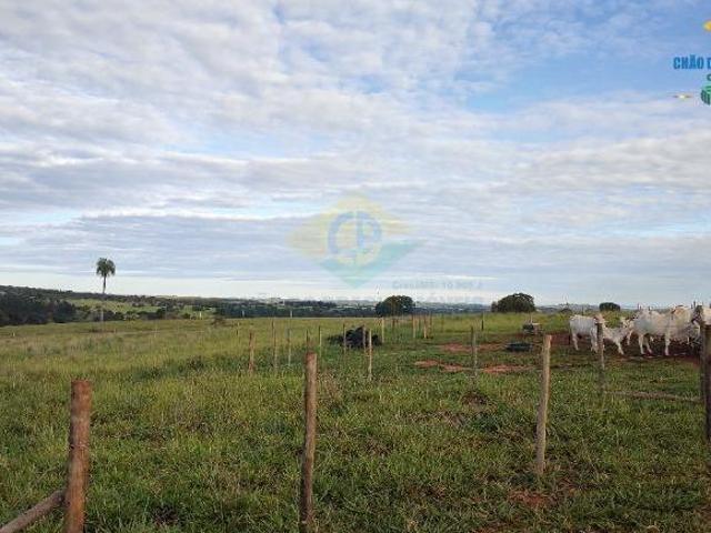 Sítio 20 ha terra roxa perto de Rochedinho Jaraguari, MS, Brasil