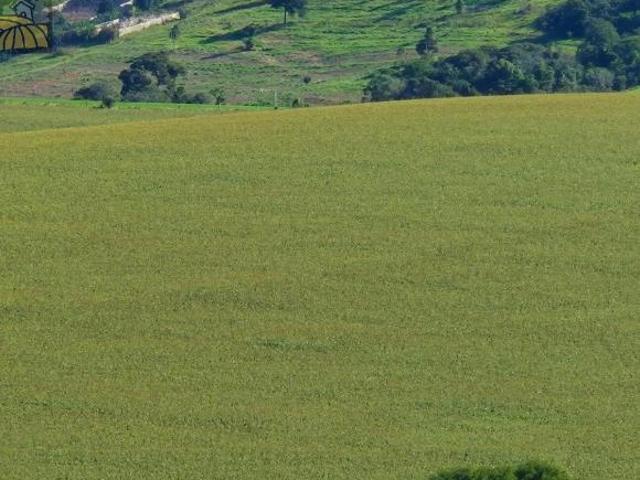 Sitio, 20alq Propriedade Fantástica Região de Itapetininga, Sarapuí, SP
