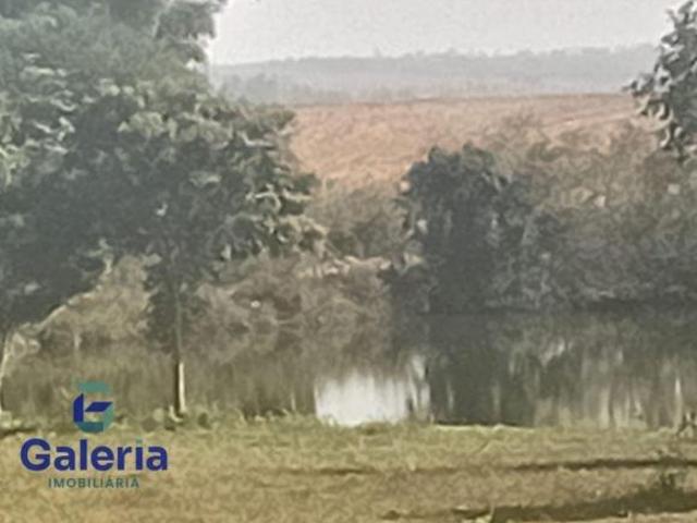 Sítio 21 hectares à venda Santa Rosa do Viterbo Região de Ribeirão Preto