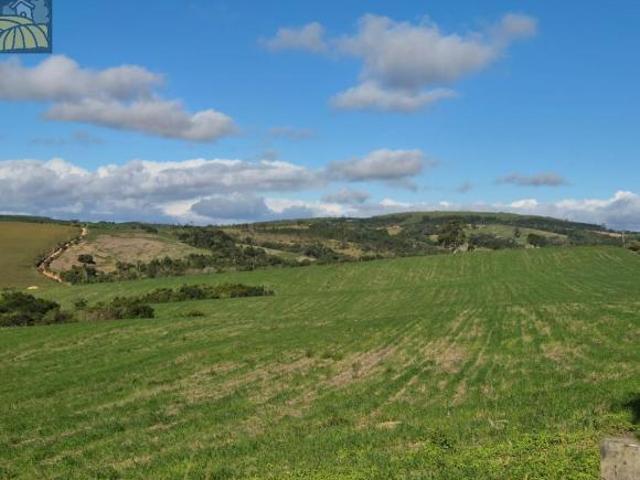 Sitio, 22 Alqueires Ótima Localização, Sarapuí, SP