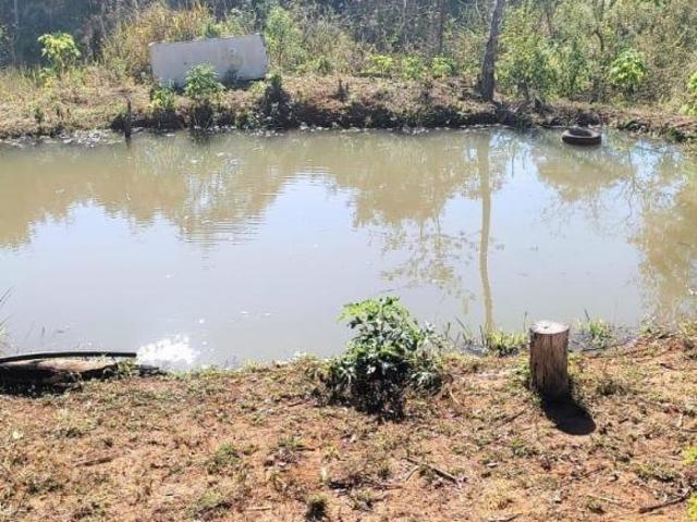 SÍTIO 25.000m² C/ LAGOA E POMAR À VENDA EM PIRACEMA/MG