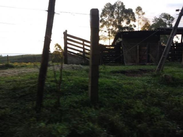 Sítio 25 Alqueires, 10 Alqueires em Plantio, 20 Alqueires Para Pecuária, Casa Sede, 2 Barracões, Man