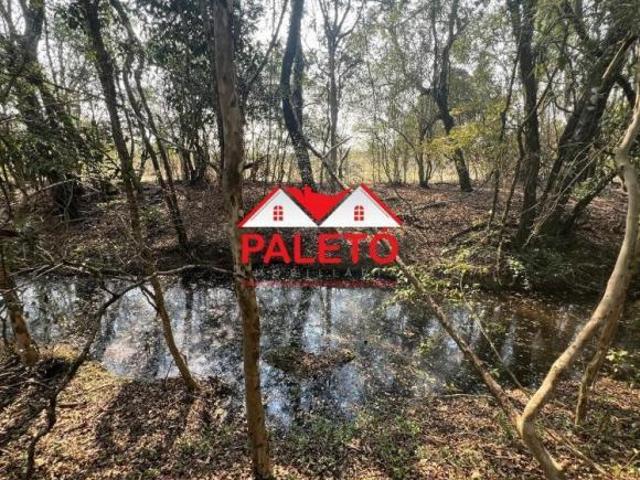 Sítio 26 alqueires com topografia plaina para criação de gado a venda em Porangaba