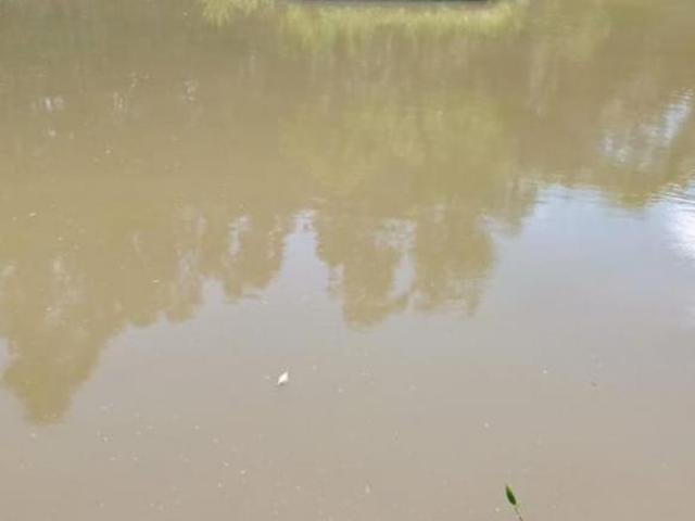 Sítio 27000m2, Casa 150m2, 3 Dormitórios, Muita Água, Tanques de Peixes, Bem Cercado, 6 km da Cidade