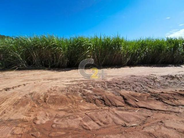 SÍTIO 2 ALQUEIRES 12 KM DISTANTE CENTRO DE CAJOBI SP BAIRRO GALILEIA