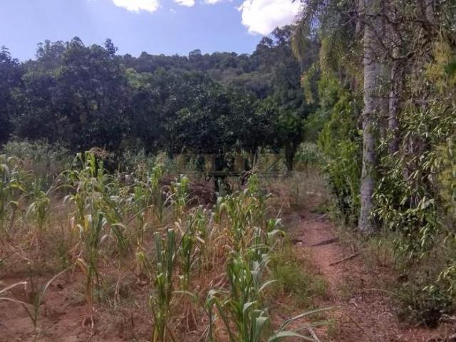 Sítio 2 Hectares à venda em Lindolfo Collor, 14 Colônias Ótima localização