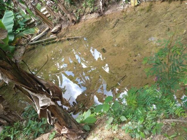 Sitio 2.560 m2 em Roças Novas/ Caeté/MG