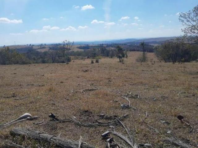 Sitio 31 Alqueires Formada em Pasto Atualmente na Pecuária Topografia Levemente Ondulada Terra