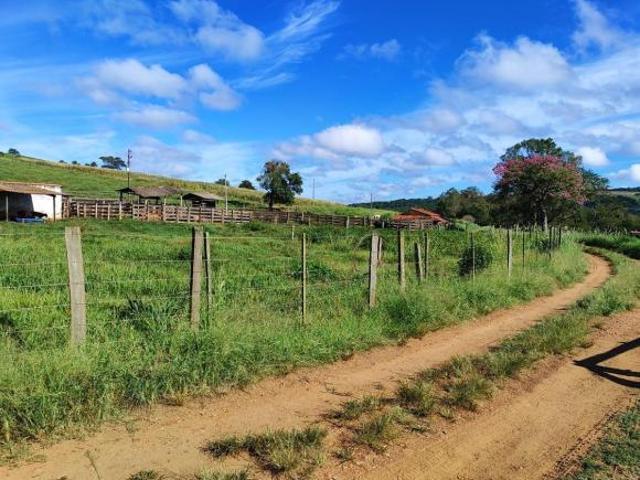 Sitio 31 Alqueires Formado em Pasto para Gado de Leite 2 casas empregado 1 casa escritório Tronco c