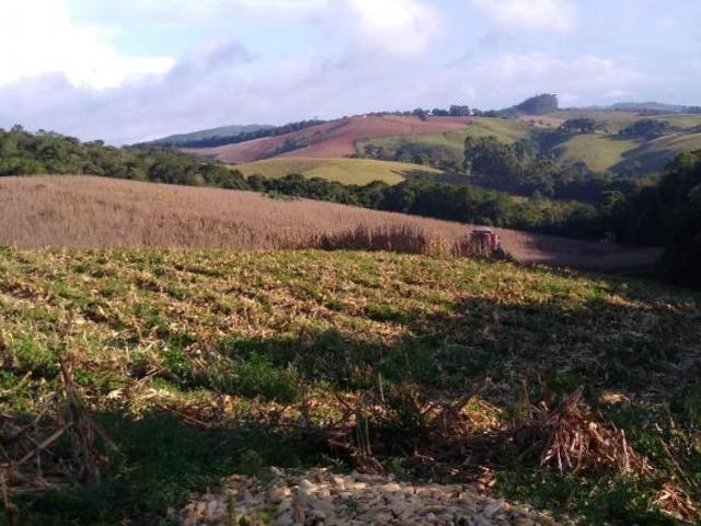 Sítio 32 Alqueires, 26,6 Alqueires Limpos, 18 Alqueires Arrendado em Tomate e Cereais, Terra Vermelh