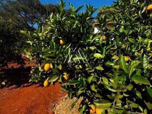 Sítio 3 quartos à venda em Itatiaiuçu/MG