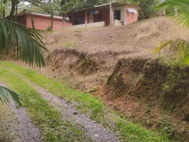 Sitio, 3,5 Alqueires Região Tapiraí Oportunidade, Tapiraí, SP