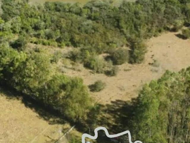 SÍTIO 3,5 HECTARES EM SÃO GONÇALO DO SAPUCAÍ MG !