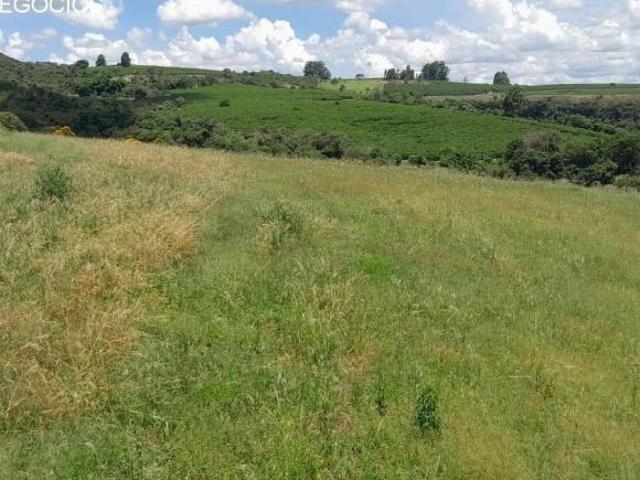 Sítio venda. Empório Negócios vende sítio café na região de São Sebastião do Paraíso MG