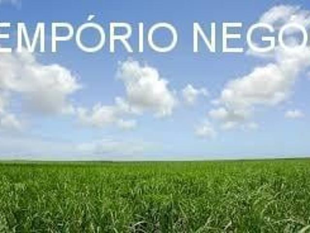 Sítio venda. Empório Negócios vende sítio cana na região de Ribeirão Preto