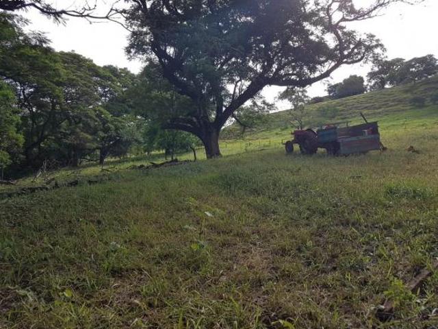 Sítio venda. Empório Negócios vende sítio para criação, lazer e lavoura, na região de Ribeirão Preto