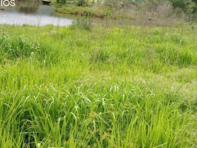 Sítio venda. Empório Negócios vende sítio pecuária na região de Monte Santo de Minas MG