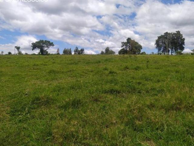 Sítio venda. Empório Negócios vende sítio pecuária e lavoura na região de Cássia dos Coqueiros SP