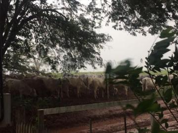 Sitio Venda Santa Clara do Oeste SP