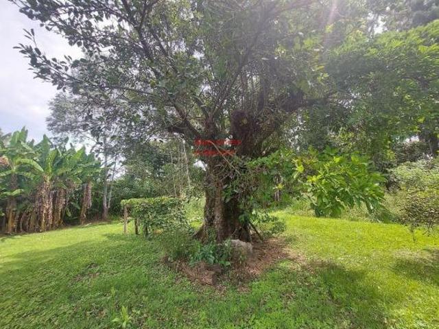 Sitio, Zona Rural, Conceicao do Rio Verde, MG