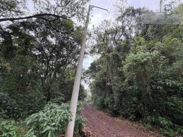 Sítio à venda no bairro Boa Esperança Rolante/RS