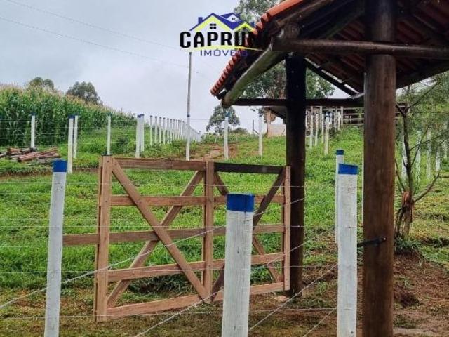 Sítio à Venda no Córrego Areado – 29 Hectares com Infraestrutura Completa em Passa Tempo/MG