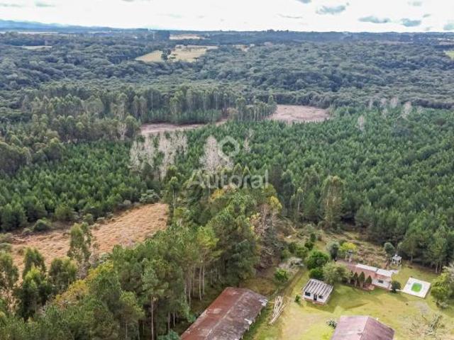 Sítio à venda, a apenas 50 km de Curitiba. Com 44