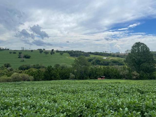 ? Sítio à venda ? Angatuba/SP | 40 alqueires Propriedade rural de dupla aptidão, pronta para produz