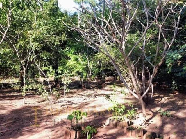 Sítio à venda, área Rural de Olímpia, Olímpia/SP Próximo a Kimberlit